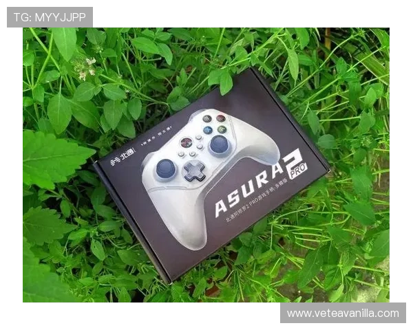 诺亚方舟娱乐城：便捷的存取款方式让您的游戏体验更加顺畅